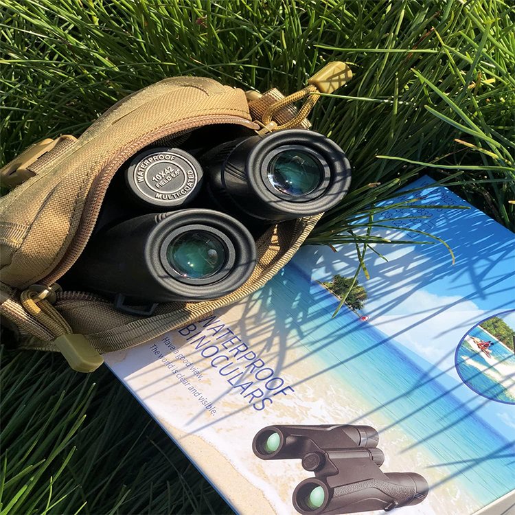 bino pack 5