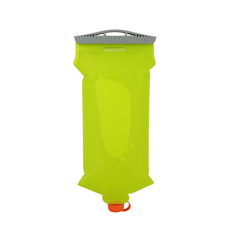 bladder 4