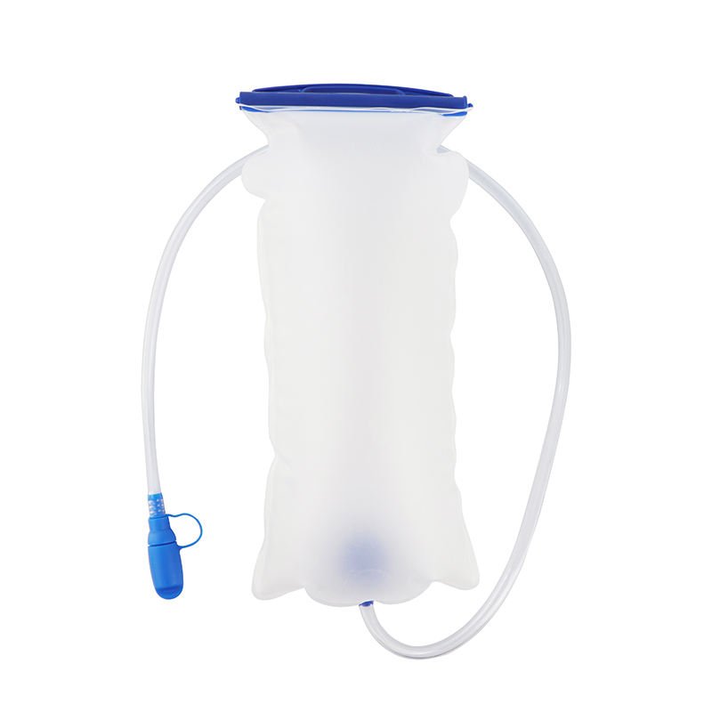 bladder 1