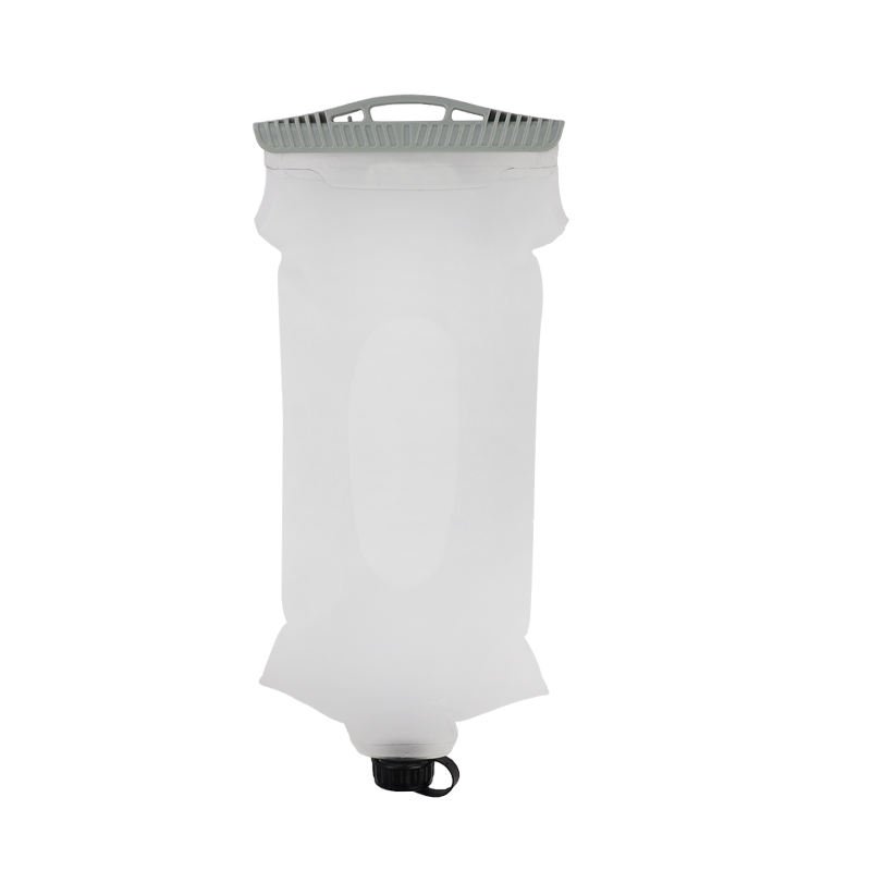 bladder 1