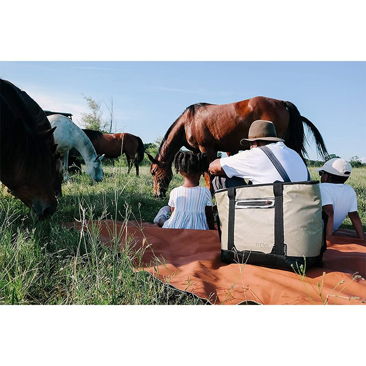 cooler bag 7