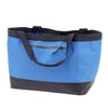 tote-bag-100-100-4
